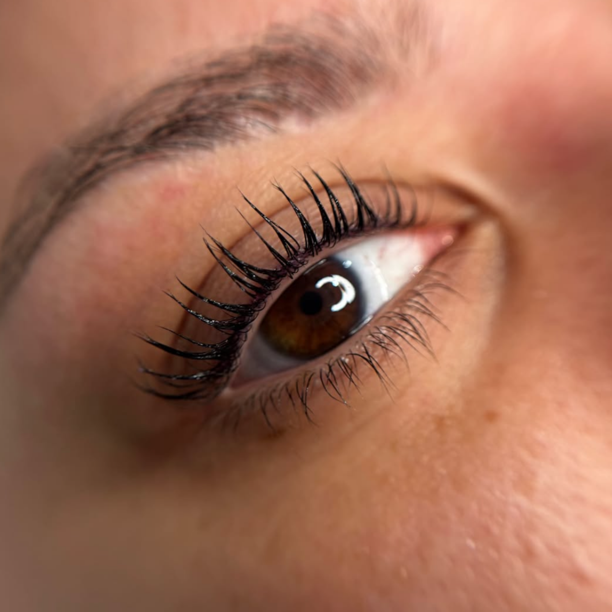 lash lift and tint
